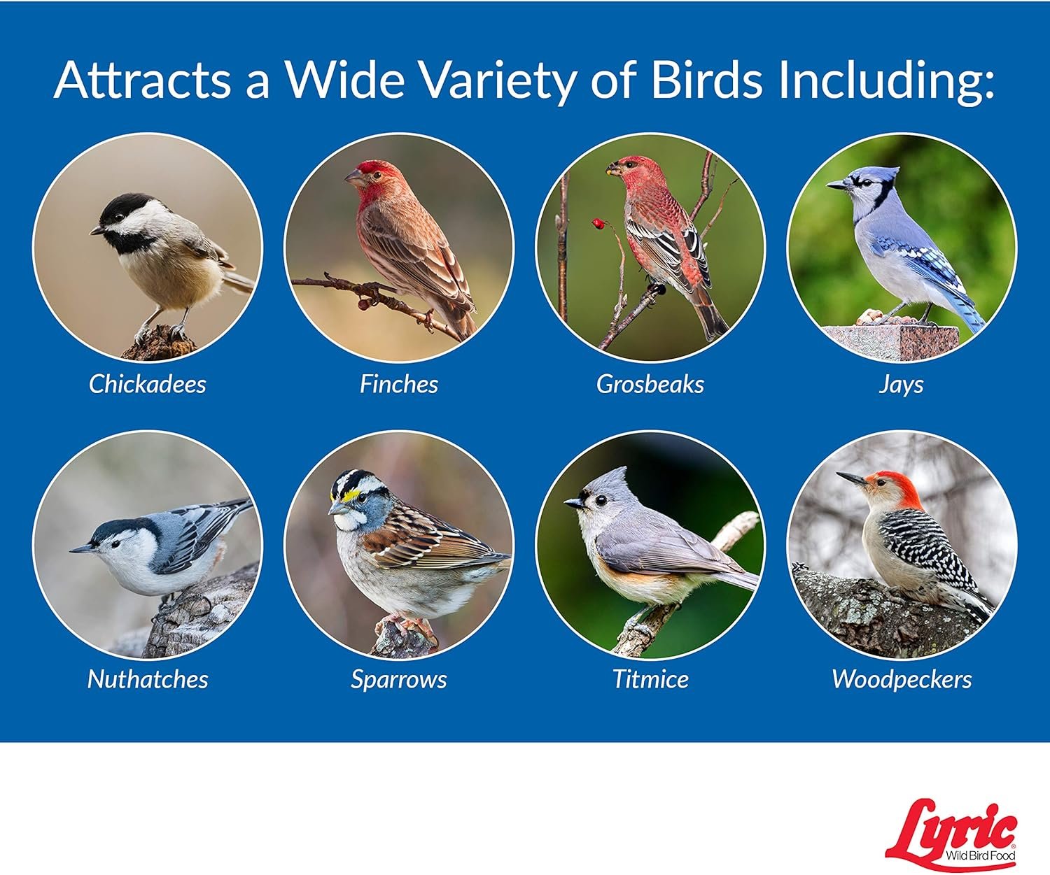 Lyric Wild Bird Mix - Wild Bird Food for Outside Feeders - Attracts Doves, Jays and many more - 40 lb. Bag - Image 6